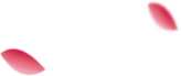 成都极趣家爱游戏（中国）面案例鉴赏